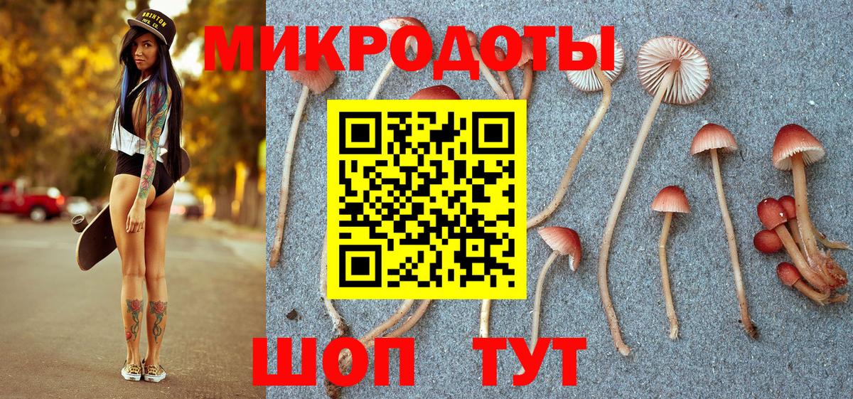 Псилоцибиновые грибы мицелий Советская Гавань